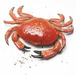  Pixwords Solutions Solution avec 5 lettres Français crabe 