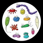  Pixwords Solutions Oplossing met 9 letters Nederlands bacteriën 