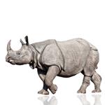  Pixwords Solutions Solución con letras 11 Español rinoceronte 