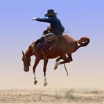  Pixwords Solutions Solution with 5 letters English rodeo 