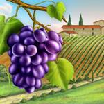  Pixwords Solutions Решение с буквами 11 Русский виноградник 