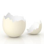 Pixwords Solutions Ratkaisu 10 kirjaimet Suomi munankuori 