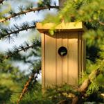  Pixwords Solutions Solution with 9 letters English birdhouse 
