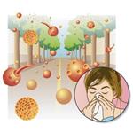  Pixwords Solutions Risinājums ar 8 burtiem Latviešu valoda alerģija 