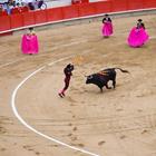  Pixwords Solutions Solution with 12 letters English bullfighting 